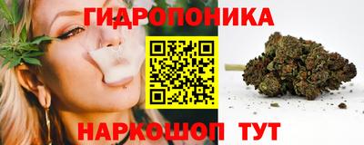 дживик Моздок