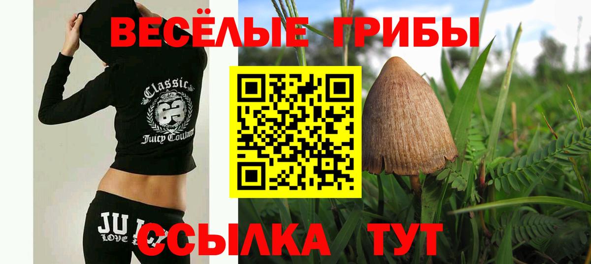 Галлюциногенные грибы GOLDEN TEACHER  Вход с VPN  Ижевск  Галлюциногенные грибы мицелий 